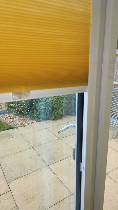 Photo 2 from Cedric Delisser